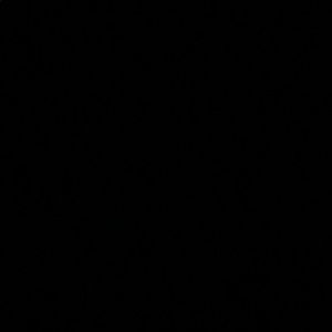 Meet your Posher, Kira